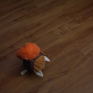 Meet your Posher, Bonnie